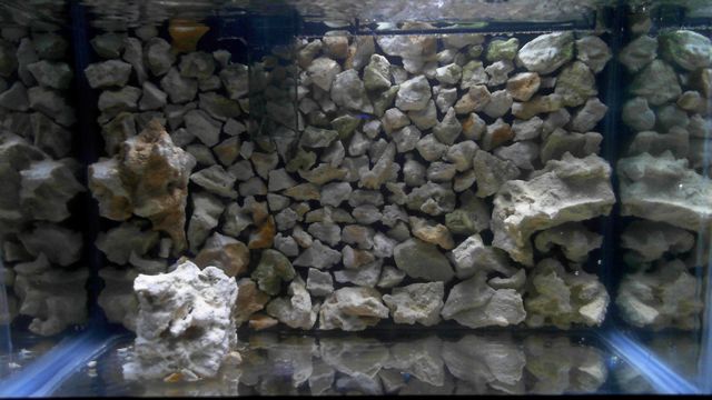2012-03-30%2006-58-18.646.jpg