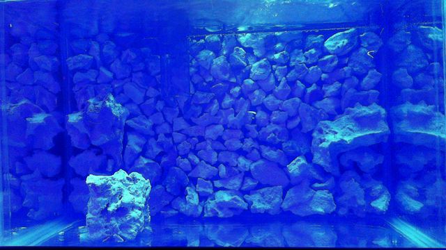 2012-03-30%2006-59-44.723.jpg