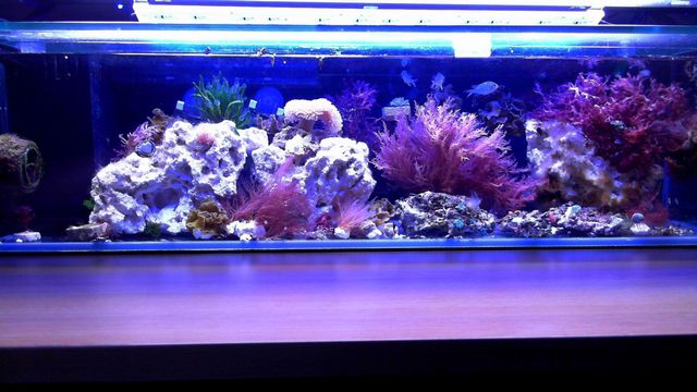 2013-05-14%2020-18-40.290.jpg