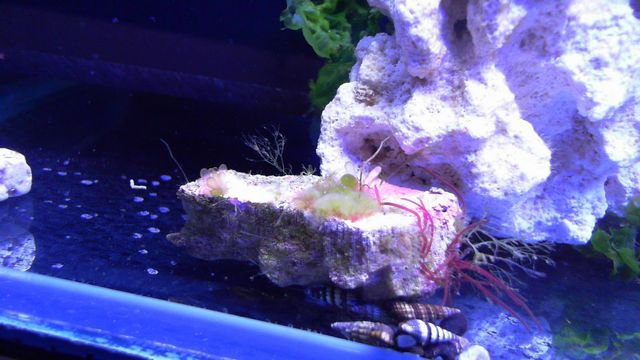 2013-05-14%2020-19-27.846.jpg