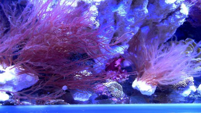 2013-05-14%2020-19-48.422.jpg