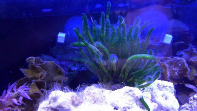 2013-05-14%2020-20-08.962.jpg