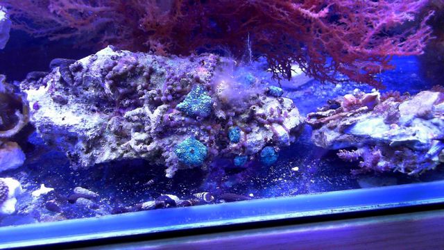 2013-05-14%2020-20-35.457.jpg
