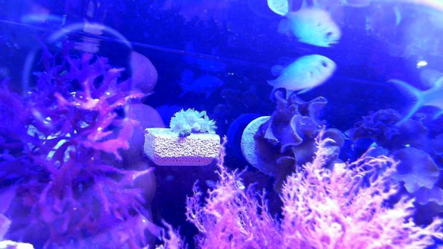 2013-05-14%2020-21-06.316.jpg
