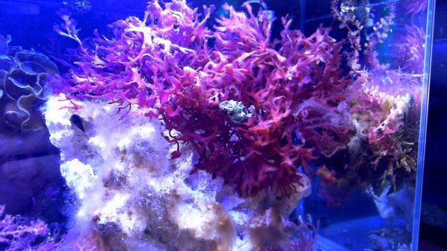 2013-05-14%2020-21-14.678.jpg