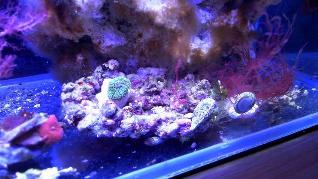 2013-05-14%2020-21-28.245.jpg
