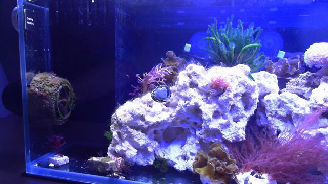 2013-05-14%2020-21-44.856.jpg