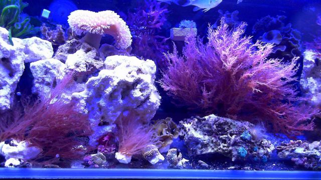 2013-05-14%2020-21-50.113.jpg