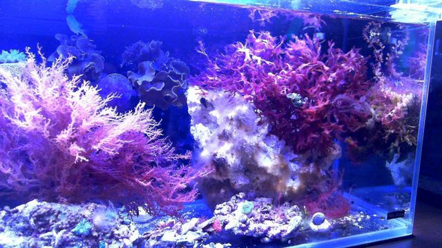2013-05-14%2020-22-00.758.jpg