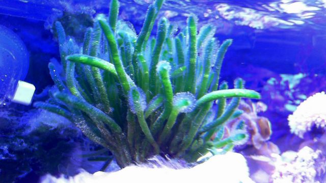 2013-05-14%2020-27-08.903.jpg