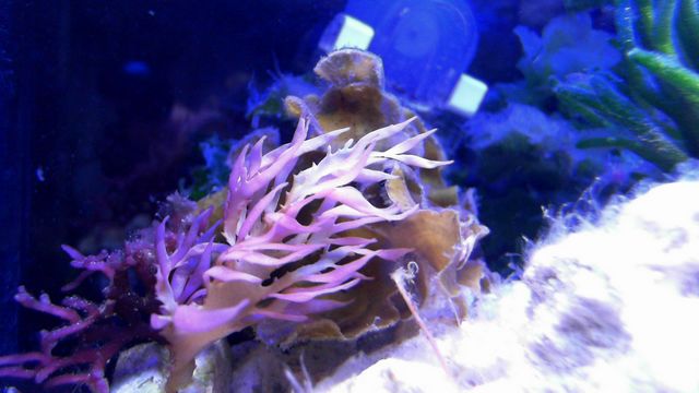 2013-05-14%2020-27-30.957.jpg