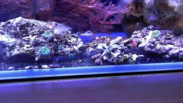 2013-05-14%2020-29-46.423.jpg