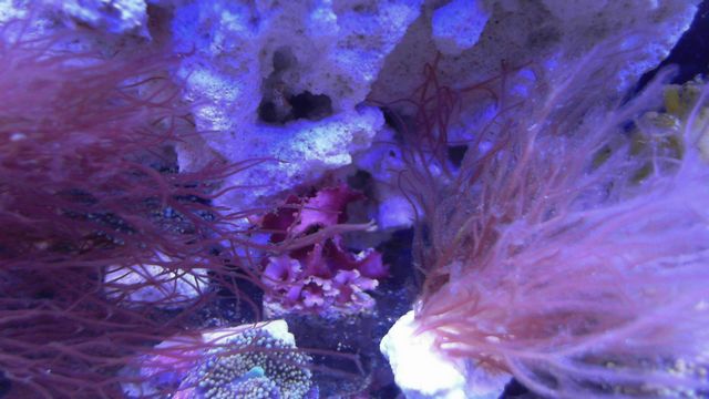 2013-05-14%2020-30-34.204.jpg